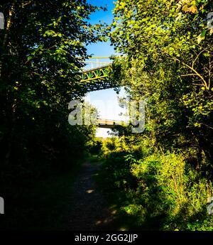 hiking trails under the A. Murray Mackay Bridge , in the north end of Halifax Stock Photo