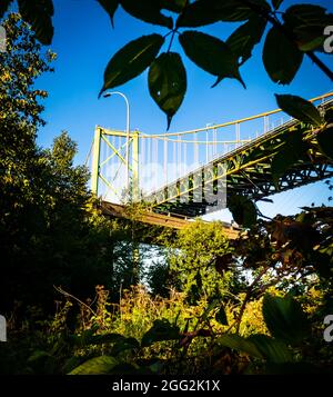 hiking trails under the A. Murray Mackay Bridge , in the north end of Halifax Stock Photo