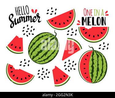 Watermelon collection. Watermelon slices and seeds. Vector illustration. Stock Vector