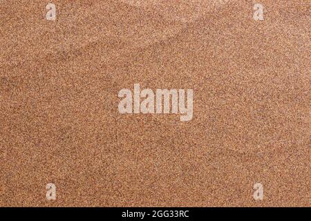 Sandpaper texture background where you can see the red-brown sand grain pattern on the sandpaper, suitable as a background for inserting text Stock Photo