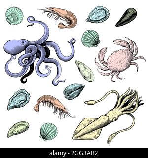 Sea food in hand drawn woodcut style in pastel delicate colors isolated on white background, mollusks and crab. Stock Vector