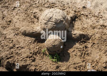 A sand sculpture of a turtle eating. Stock Photo