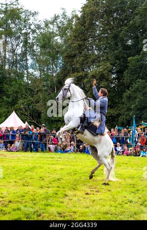 8th August 2021 - Host of the jousting tournament on a rearing horse at Medieval festival Loxwood Joust, West Sussex, England, UK Stock Photo