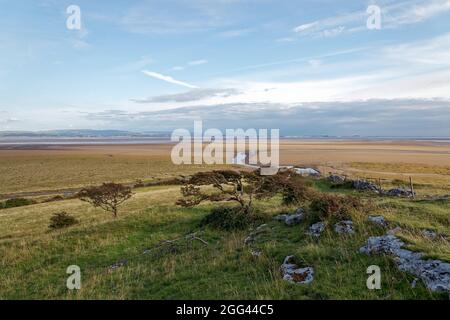 The saltmarsh of Morecambe Bay viewed at low tide from Humphrey Head in the Kent Estuary with Morecambe in the distance Stock Photo