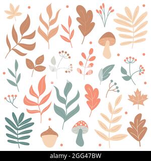 Big set of Autumn elements - mushrooms and plants - on a white background. Hand-drawn icons in pastel colors Stock Vector
