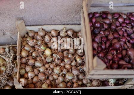 Onions in wooden boxes ready for winter in the basement. Food concept background. Close up, selective focus and copy space Stock Photo