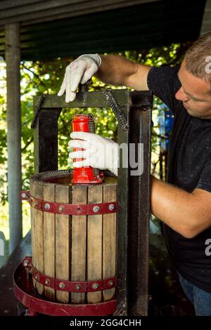 Wine harvest. A master winemaker is setting up a grape press. Freshly squeezed grape juice in a glass. Autumn is the time of grape harvest and wine ma Stock Photo