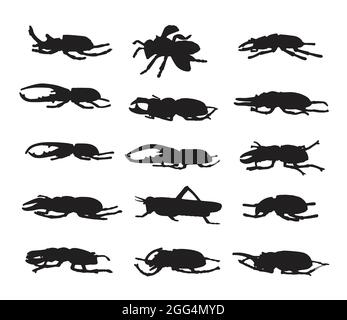 Vector group of insects on white background. Easy editable layered vector illustration. Wild Animals. Stock Vector