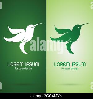 Vector image of hummingbird design on dark green background and green background, Logo, Symbol. Stock Vector