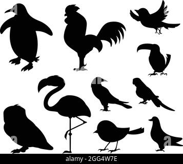 Birds from Different parts of World. Common Birds. Penguin Chicken Sparrow Dodo Bird Pigeon Duck Swan Owl Crow. Black Bird Silhouette Against White Ba Stock Vector