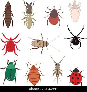 Big Set of Flea Lice Tick Termite Bedbug Cockroach Spider Ladybug Cricket Mite Beetle Vector Illustration Fill and Outline Isolated on White Backgroun Stock Vector