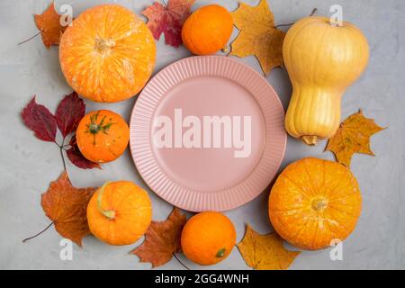Close-up flat lay of empty pink plate surrounded by ripe little pumpkins and autumn leaves on rough gray concrete or cement background. Spring concept Stock Photo