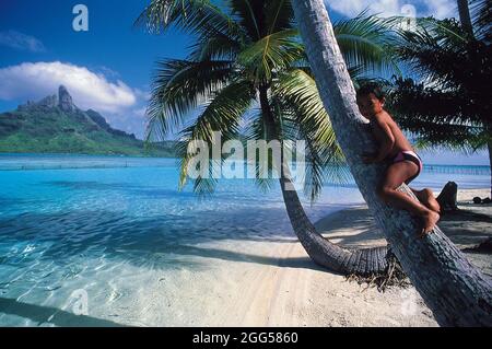 FRENCH POLYNESIA. CHILD HANGING ON TO A PALM TREE ON THE ISLAND OF BORA BORA Stock Photo