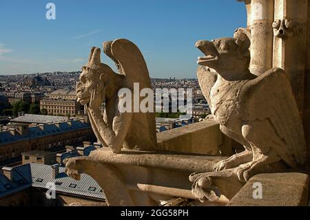 FRANCE. PARIS (75) NOTRE-DAME DE PARIS CATHEDRAL. CLOSE-UP OF THE CHIMERAS Stock Photo