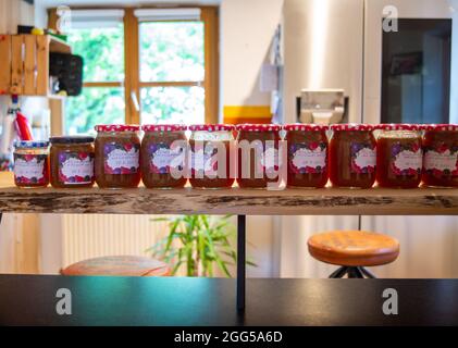 Freshly filled jars of marmelade standing in a kitchen. Stock Photo