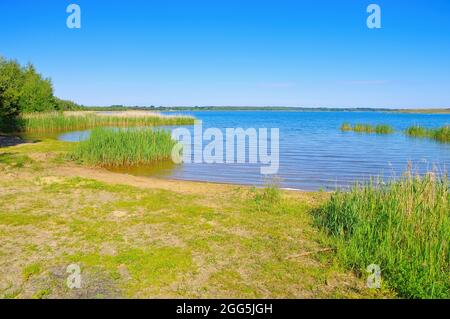 Graebendorfer Lake in Lusatian Lake District on a sunny day, Germany Stock Photo