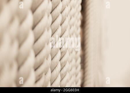 Different strong white ropes weigh upright on white background Stock Photo