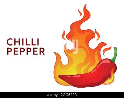 Chili pepper in fire. Spicy food level. Food infographic. Stock Vector