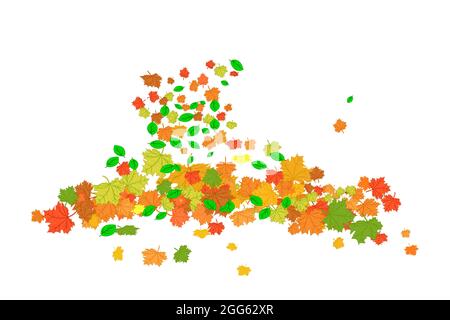 Orange and red fall maple leaves isolated on white background. Pile of dry autumn foliage. Heap of fallen tree colorful leaf.Stock vector illustration Stock Vector