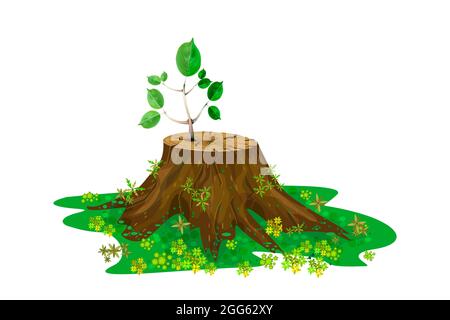 Young branch on the stump isolated on white background. New sprout on tree trunk. One new seedling is growing up on the old stump. Vector illustration Stock Vector