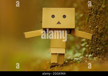 A cardboard in the garden  with a bokeh background, selected focus Stock Photo