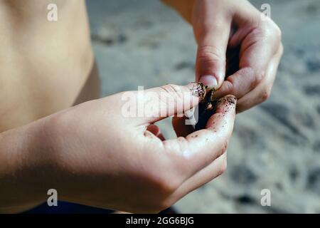fishing skills concept close-up. a fisherman puts a worm on a hook Stock Photo