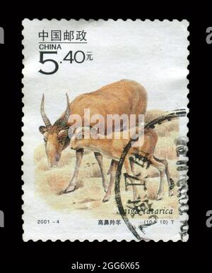 Stamp printed in China shows image of the Saiga antelope, circa 2001. Stock Photo