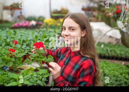 happy teen girl florist planting pot plants in greenhouse, spring Stock Photo