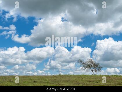 Clouds over Black Down the highest point of the Mendip Hills in Somerset UK Stock Photo