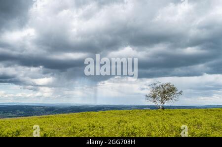 Clouds over Black Down the highest point of the Mendip Hills in Somerset UK Stock Photo