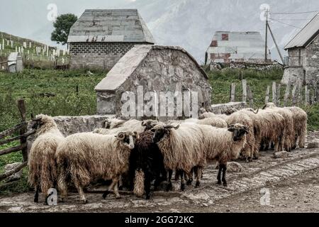 Lukomir, Bosnia and Hercegovina Stock Photo