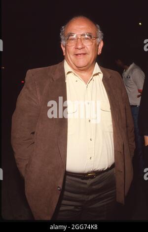 **FILE PHOTO** Ed Asner Has Passed Away. Ed Asner Circa 1980's Credit: Ralph Dominguez/MediaPunch Stock Photo