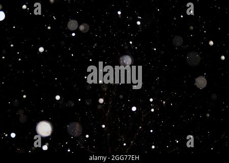 Blurry snow in the night sky. Blurry white snowflakes on a dark background. Abstraction photo. Stock Photo