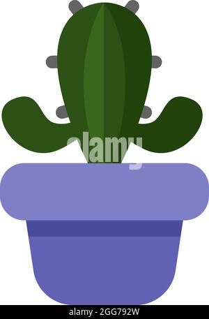 Teddy bear cholla cactus in a purple pot, icon illustration, vector on white background Stock Vector