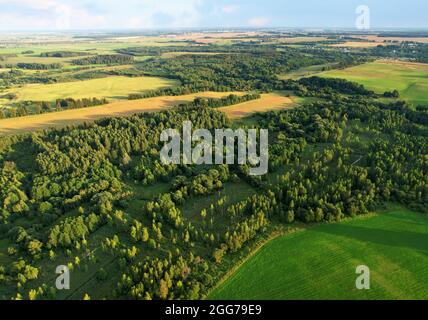 Aerial view of the forest and field. Drone view from above of a gold fields and a hilltop forests. The concept of ecology and clean air in green natur Stock Photo