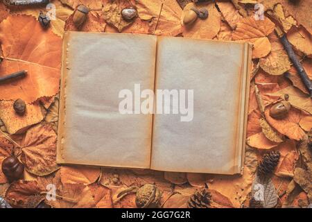 Blank pages of an old open book on creative autumn background made of dry leaves, flat lay top view Stock Photo