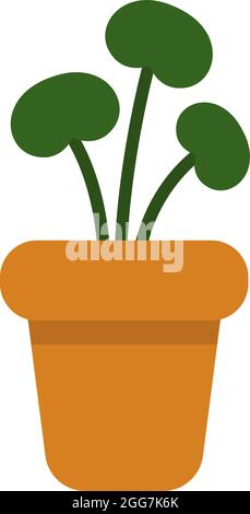 Plant with round leaves in a pot, icon illustration, vector on white background Stock Vector