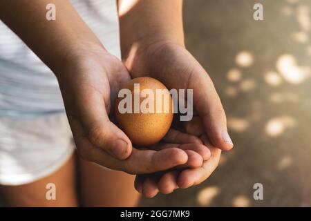Young Girl holding fresh laid egg in hands at farm Stock Photo