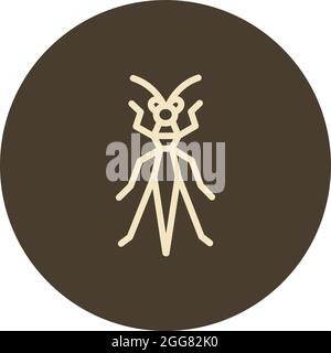 Cricket insect, illustration, on a white background. Stock Vector