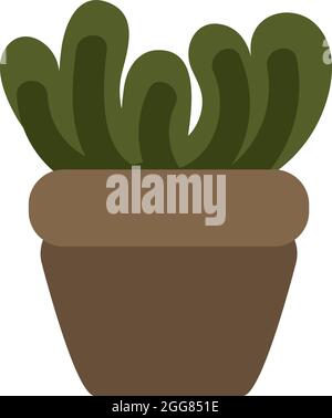 Chinese money plant, illustration, on a white background. Stock Vector