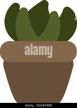 Aglaonema plant in pot, illustration, on a white background. Stock Vector