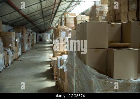 Cardboard boxes in production area Stock Photo