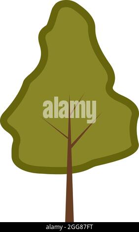 Sessile oak tree, illustration, on a white background. Stock Vector
