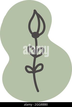 Daffodil flower, illustration, vector on a white background. Stock Vector