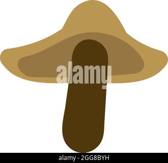 Hedgehog mushroom, illustration, vector on a white background. Stock Vector