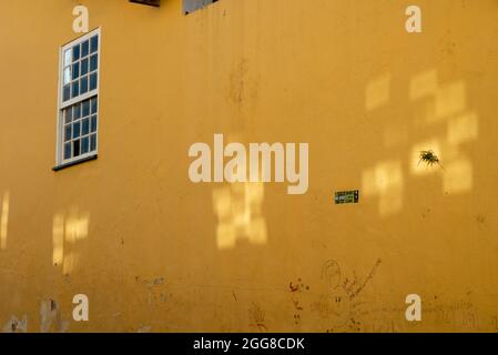 Yellow texture on the wall of a house. Pelourinho, Salvador, Bahia, Brazil. Stock Photo