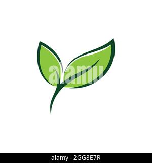 Leaf logo vector illustration design template. Stock Vector