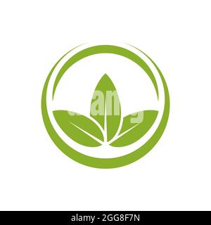Leaf logo vector illustration design template. Stock Vector