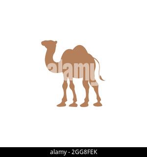 Camel Icon Vector illustration design Stock Photo