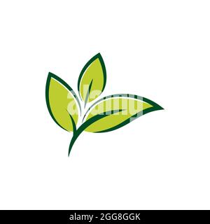 Leaf logo vector illustration design template. Stock Vector